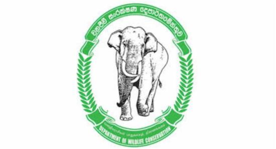 Dept. Ordered to Reduce Human-Elephant Conflict